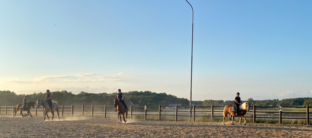 Foto av: Johanna Brask